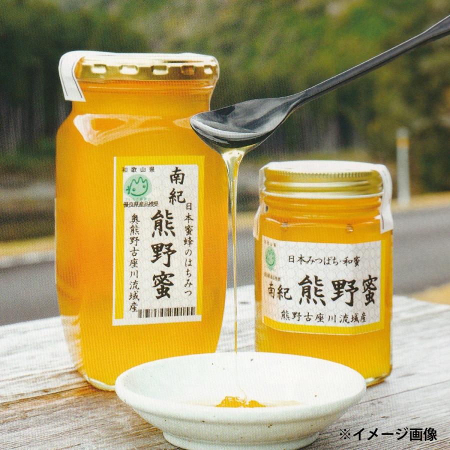 ニホンミツバチの蜂蜜 500g 和歌山 古座川 南紀熊野蜜 日本蜜蜂のはちみつ 500g はちみつ 国産