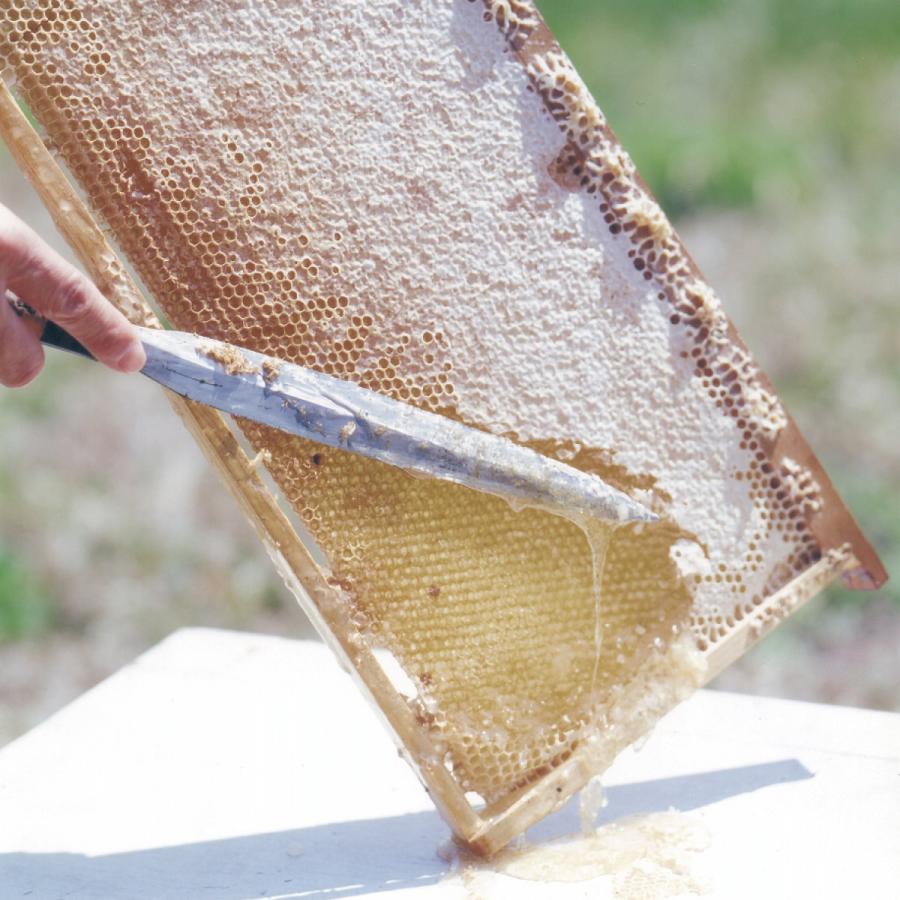 金澤やまぎし養蜂場 日本のはちみつ あかしあ 1kg 国産はちみつ_2