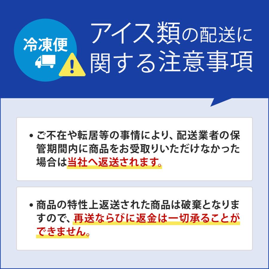 エクリプスコ バルクアイス マンゴーパッション 4個 植物性アイス【沖縄県・離島 配送不可】_4