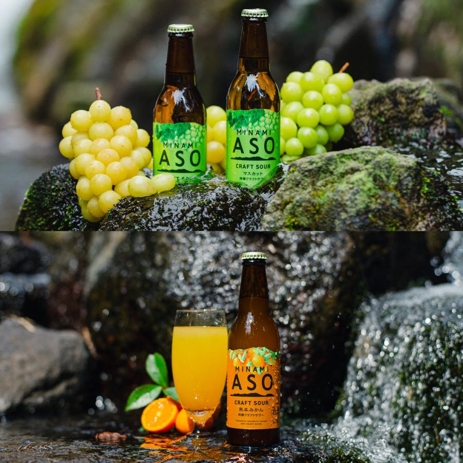 お酒飲み比べセット 500ml 生ビール・ビール・ハイボール・サワー・発泡酒 みなみ阿蘇ビール クラフトサワー 飲み比べ ギフトセット 2種計4本