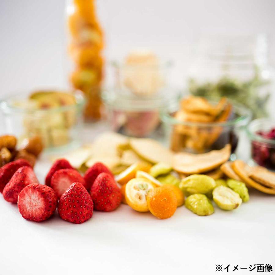 フルコレ フリーズドライ フルーツ 八角瓶 ギフトセット 5種入 ドライ