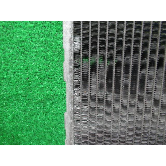 クリスティーナ・ダムの限定版グラフィックです。 クリスティーナ・ダムの限定版グラフィックです。 クリスティーナ