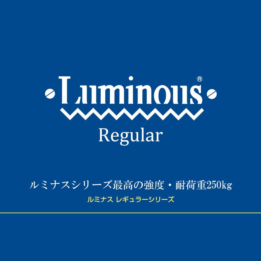 ドウシシャ ルミナス レギュラー ラック スチールラック 収納棚 幅90 3段 隙間収納 防錆加工 業務用 耐荷重250kg (棚板1枚あたり) キャの画像