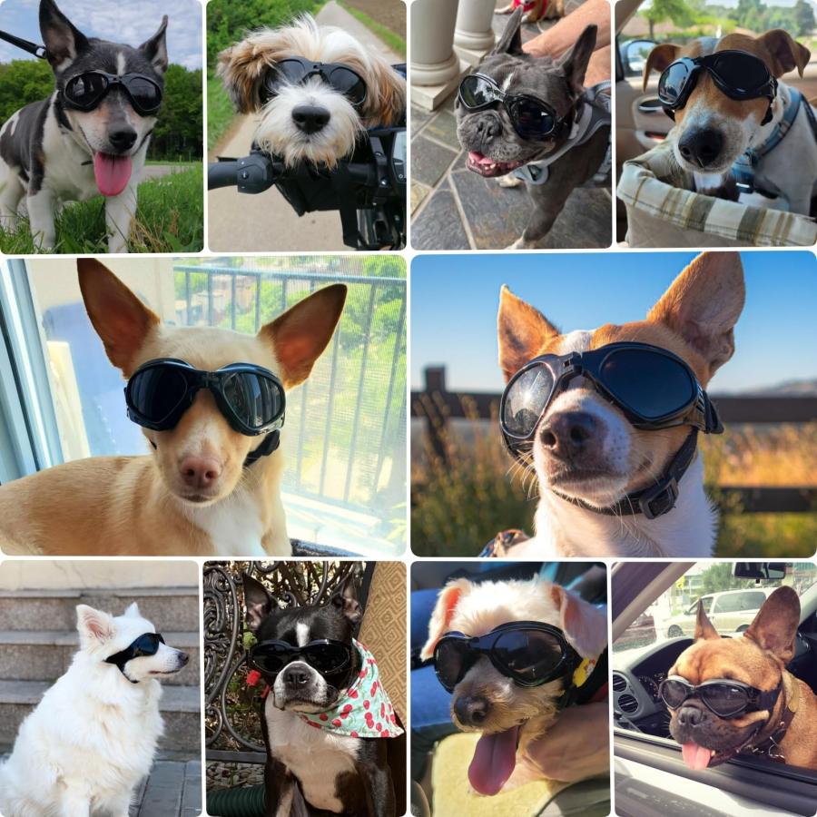 PETLESO 犬サングラス uvカット 小中型犬用ゴーグル 紫外線対策 散歩