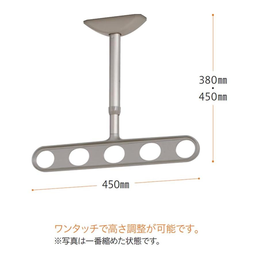 川口技研 軒天用物干し ホスクリーン ZA-0445-ST ステンカラー 2本1組の画像