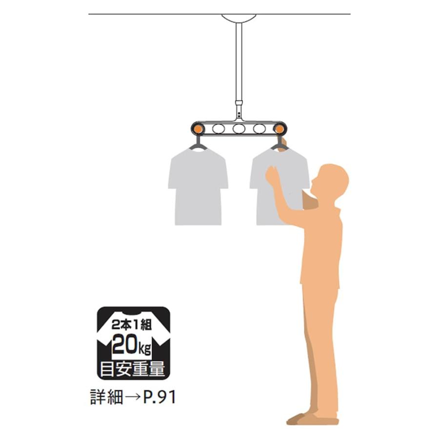 川口技研 軒天用物干し ホスクリーン ZA-0445-ST ステンカラー 2本1組の画像