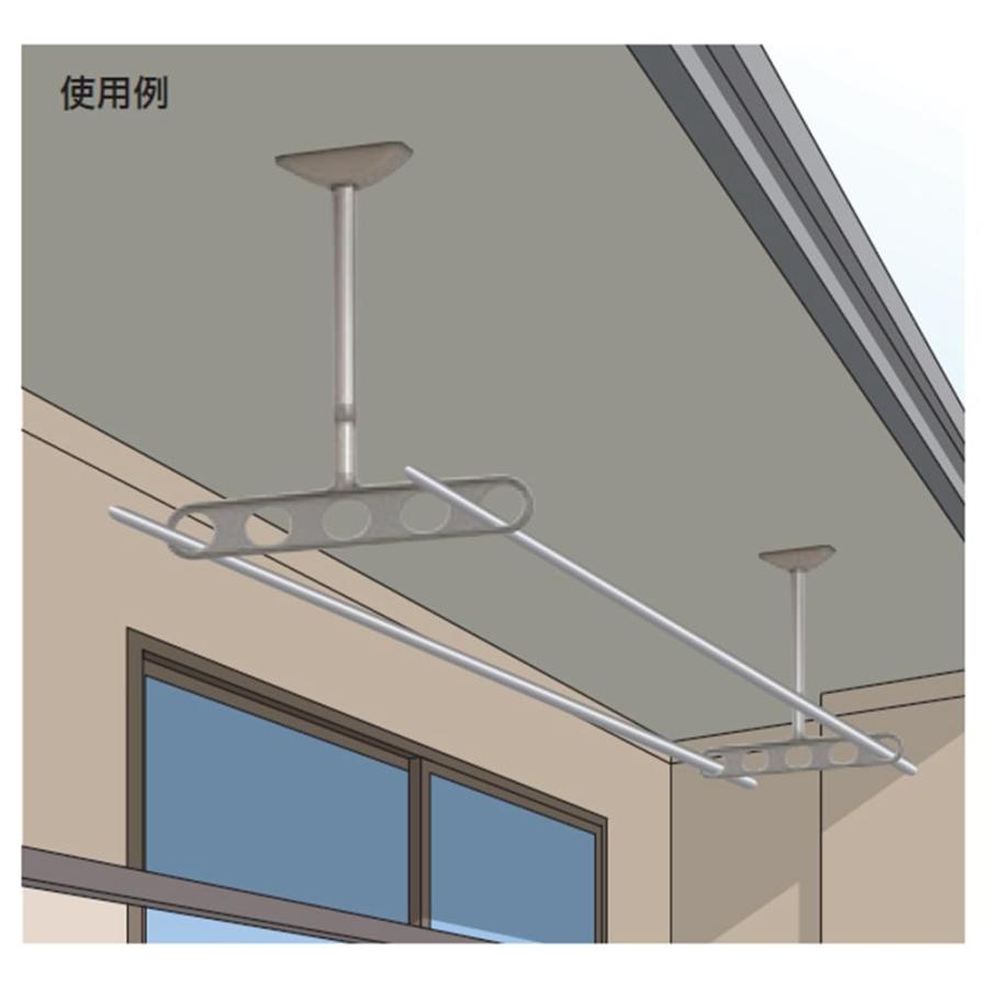 川口技研 軒天用物干し ホスクリーン ZA-0445-ST ステンカラー 2本1組の画像