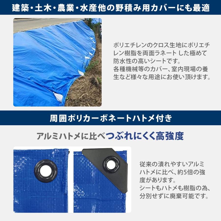 モリリン ブルーシート レジャーシート イメージシートブルー #3000 厚手 8.9×8.9m ポリカーボネートハトメ 使用目安約1年 1枚入_2