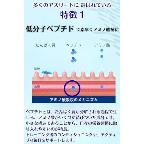 鈴廣かまぼこ サカナのちからA forアスリート 120g 2個セットの画像