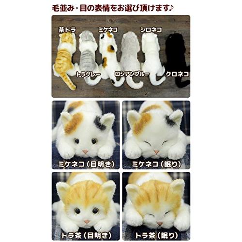 リアルシリーズ 日本製 リアルな猫のぬいぐるみ 58cm (クロネコL目明き)_4
