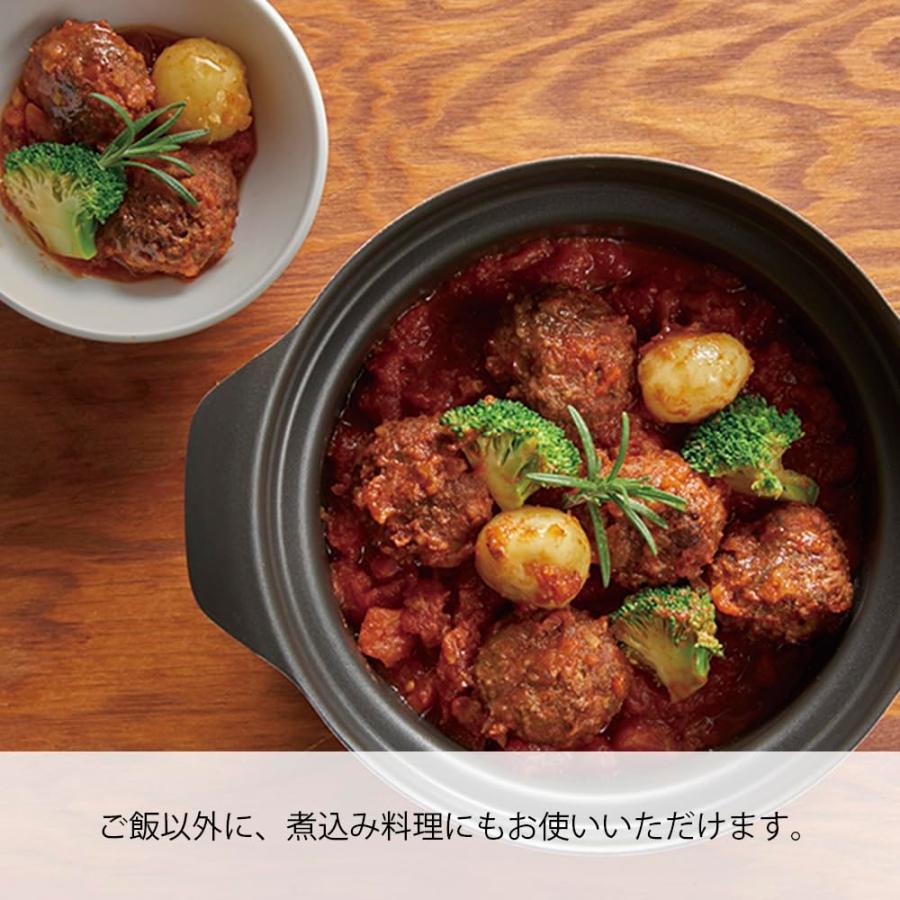 HARIO(ハリオ) ご飯釜 雪平 IH対応 1~3合用 シルバー プレゼント