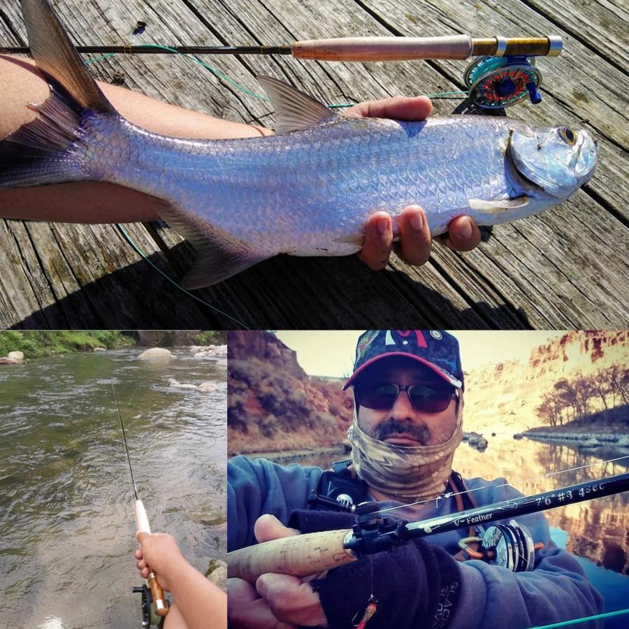 M MAXIMUMCATCH Maxcatch V-Featherミディアムファースト フライロッド 4ピース トラウト フライフィッシングロッドIM_6