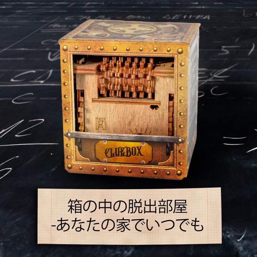 iDventure Cluebox 3D立体パズル クルーボックス 頭の体操木製3D難解パズル 脱出ゲーム シュレーディンガーの猫 箱型ロジックゲーム_4