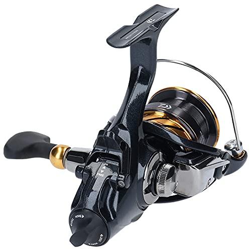 ダイワ(DAIWA) スピニングリール(ヤエン) 19 アオリマチックBR LT3000D