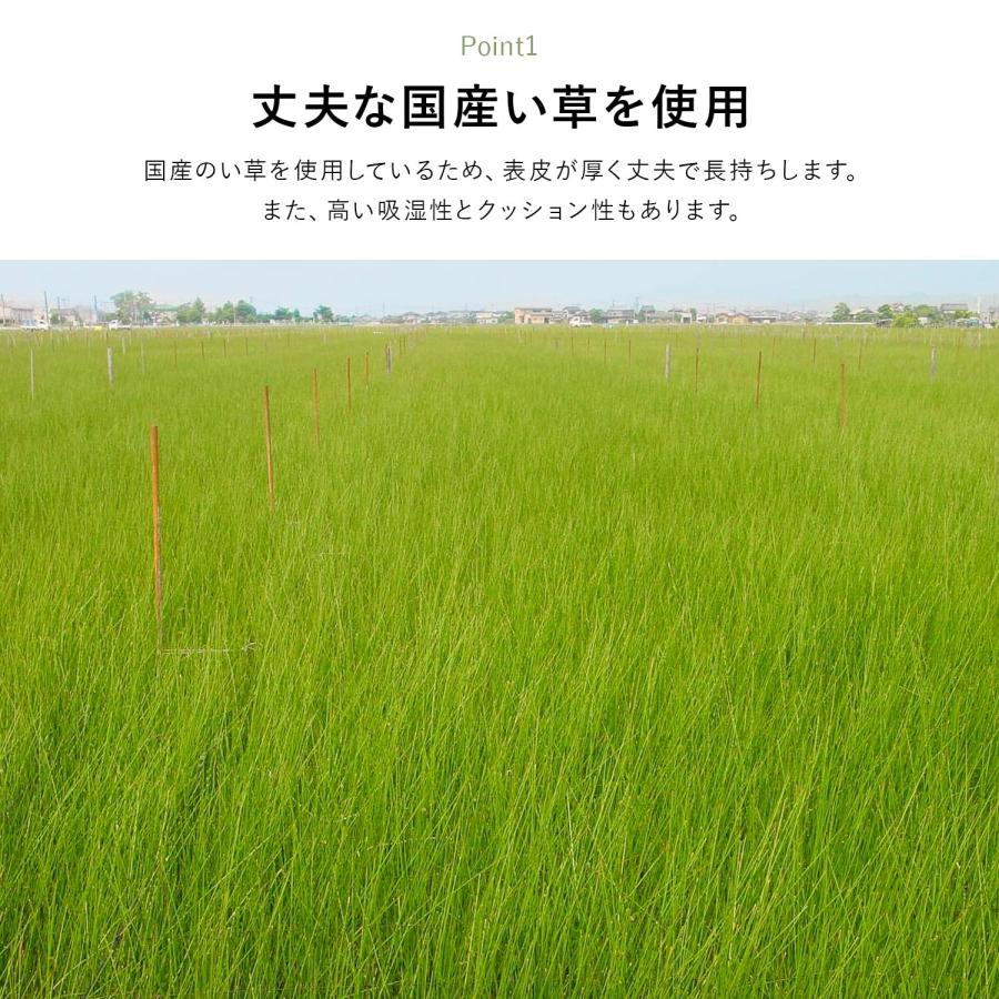 イケヒコ い草 自然素材 ラグ カーペット 花ござ 裏張りなし 正方形 単品 グラッセ 無地 約261×261cm 江戸間4.5畳 日本製 純国産い草_2