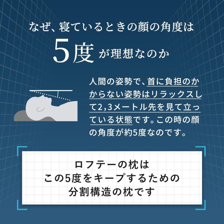LOFTY ロフテー 枕 5セルピロー 低反発炭パイプ 3号 男性 標準 63cm