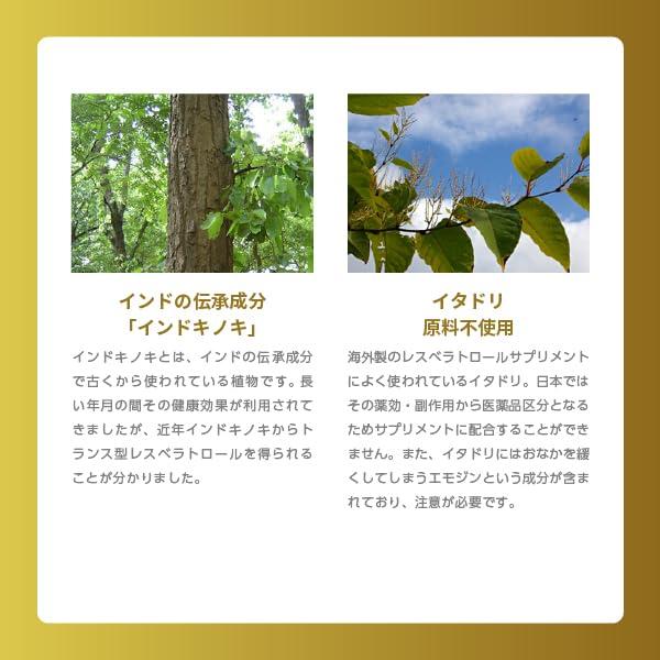 ワカサプリ レスベラトロールゴールド 60粒 トランス型レスベラトロール 1粒で52.5mg 赤ワイングラス約80杯分 脂肪分の高い食生活を送っている_4