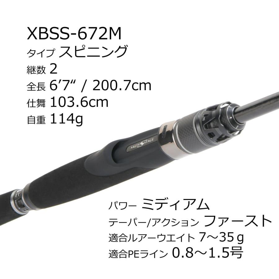 AbuGarcia (アブガルシア) ソルティーステージプロトタイプ ボートシーバス SaltyStageProtoType BoatSeabass_2