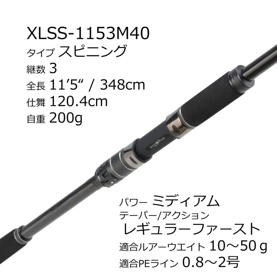 AbuGarcia (アブガルシア) ソルティーステージプロトタイプ ライトショアジギング SaltyStageProtoType LightSJ X_2