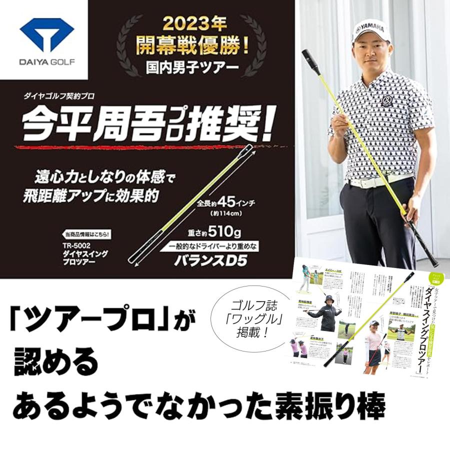 ダイヤゴルフ(DAIYA GOLF) スイング練習器具 ダイヤスイングプロツアー