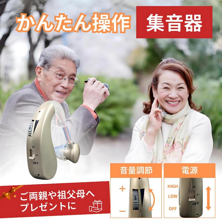 耳穴式 集音器 高齢者 充電式 左右 両耳 兼用 小型 軽量 耳掛け 高感度