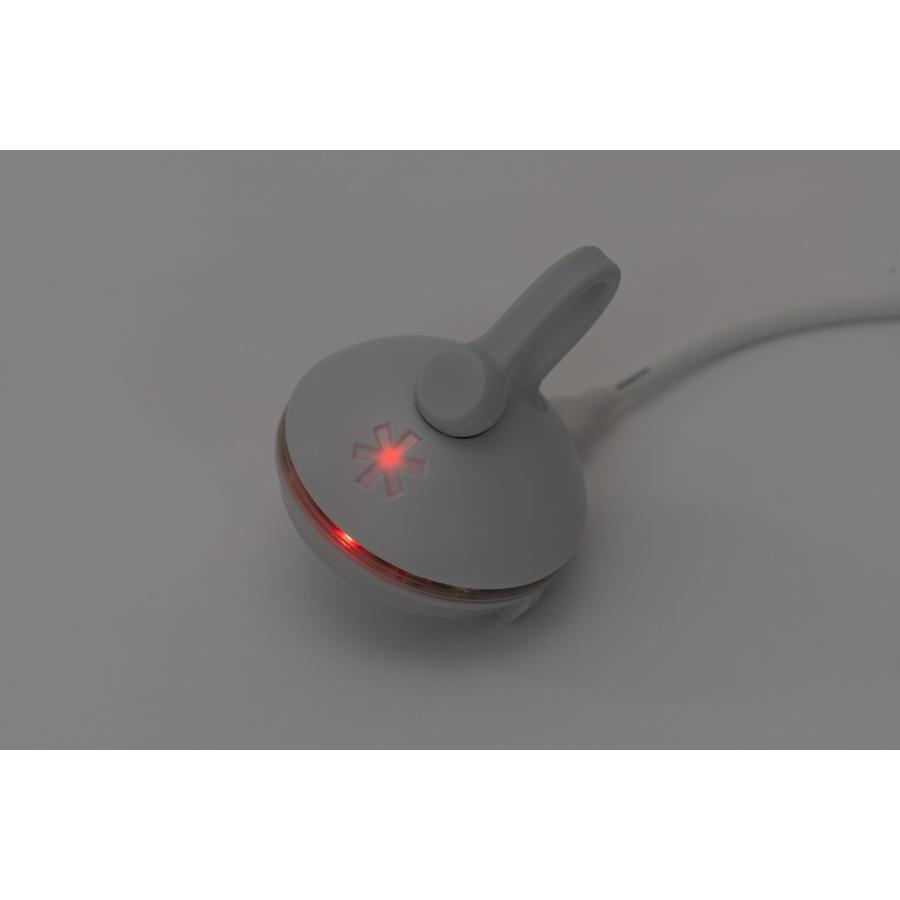 スノーピーク(snow peak) LEDランタン RBたねほおずき USB-C充電式 あさもや ES-141-IV 小型 軽量 防災_2