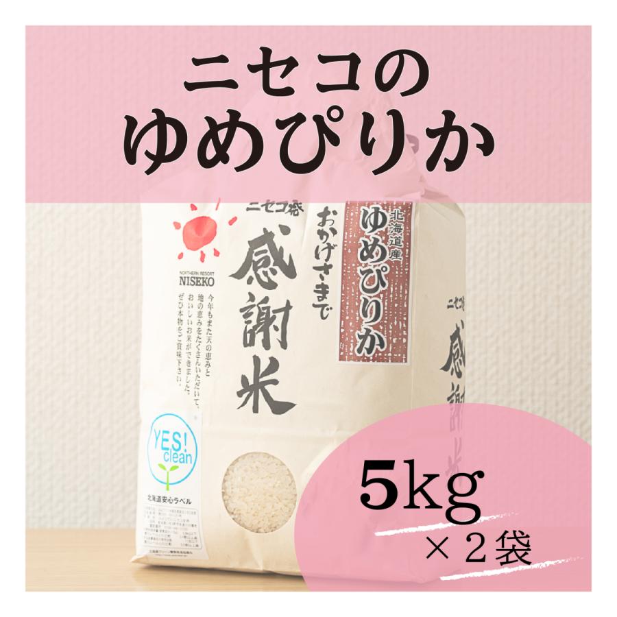 北海道ニセコ猪狩農園のゆめぴりか　10kg(5kg x2)【全国送料込】 | 