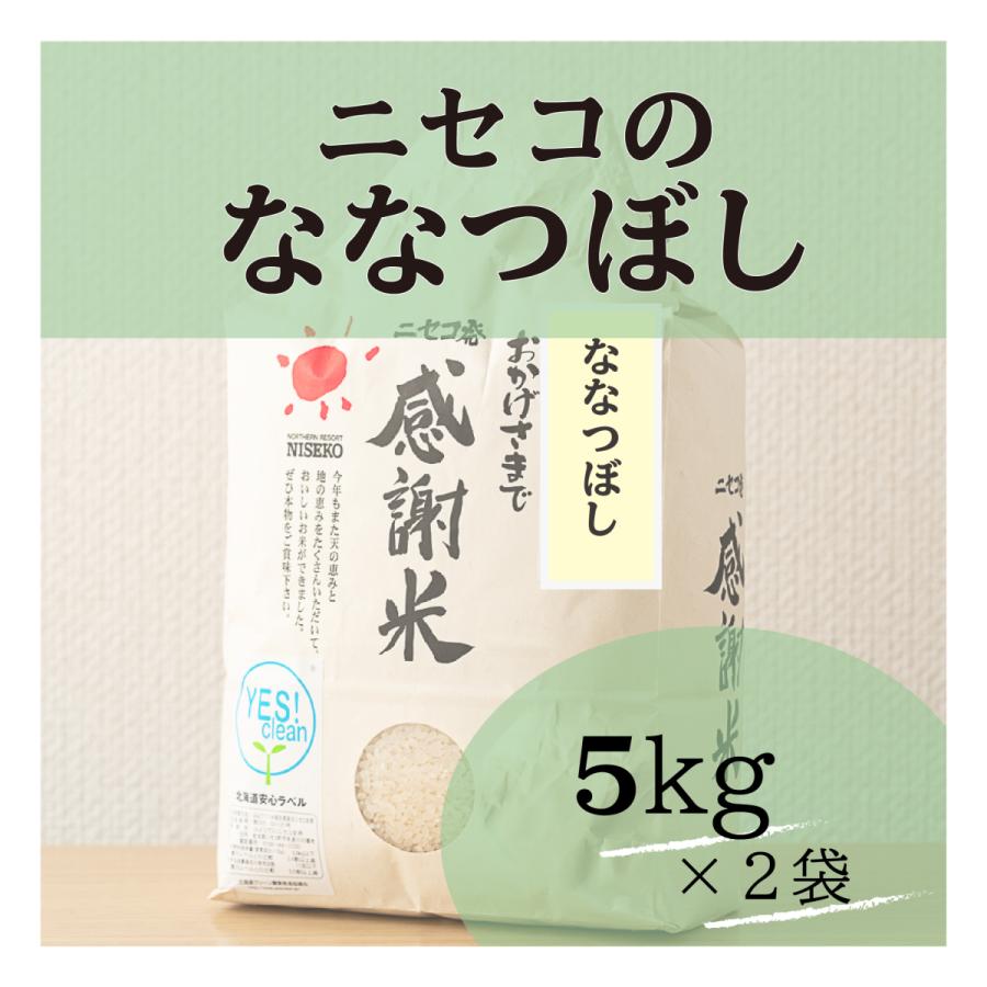 北海道ニセコ猪狩農園のななつぼし 10kg(5kg x2) 【全国送料込】 | 