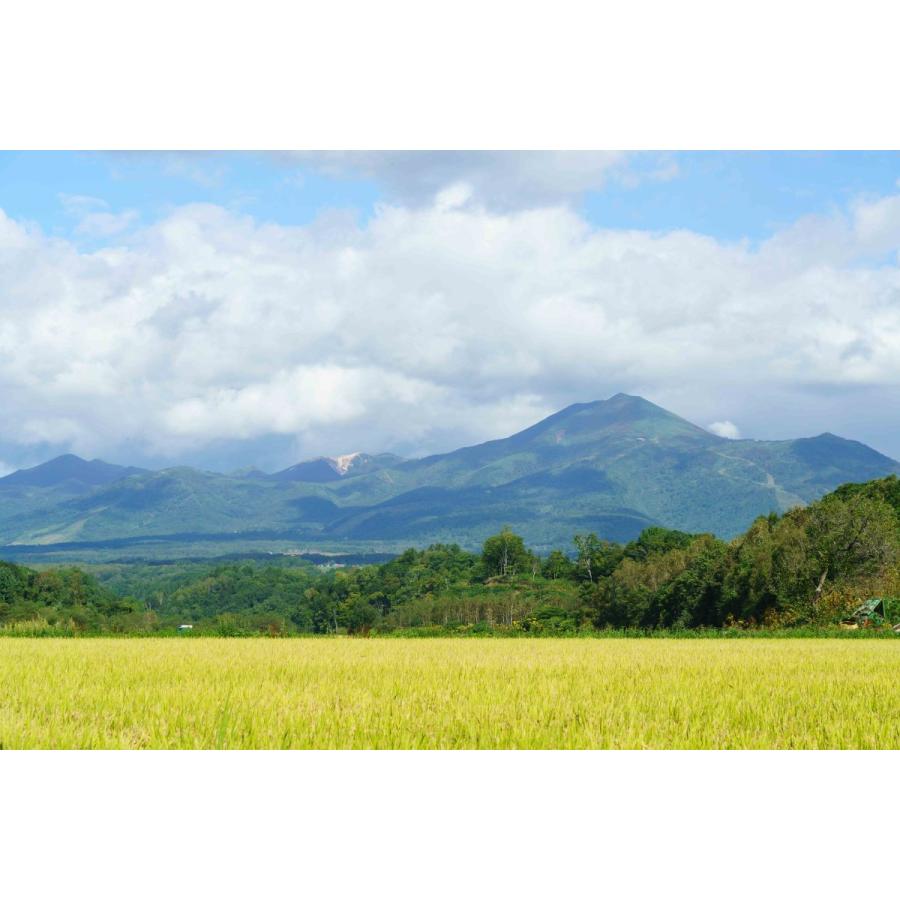 北海道ニセコ猪狩農園のななつぼし 10kg(5kg x2) 【全国送料込】 |  | 02