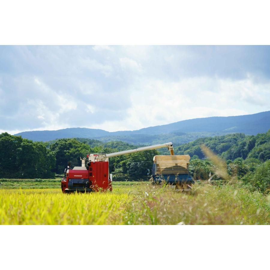 北海道ニセコ猪狩農園のななつぼし 10kg(5kg x2) 【全国送料込】 |  | 03