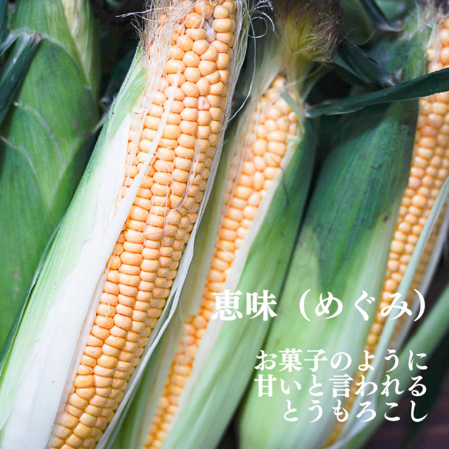 【期間・数量限定】ニセコマカロン（とうきび）３個入り |  | 03