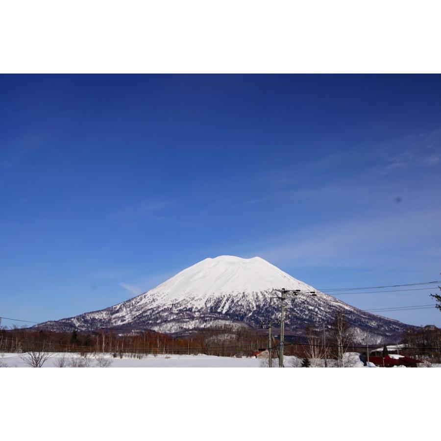 【受注休止中・再開未定】北海道の朝どりグリーンアスパラM〜Lサイズ　1kg　倶知安町「ニセコファーム」【全国送料込】・・・数量限定｜niseko-topikomarket｜02