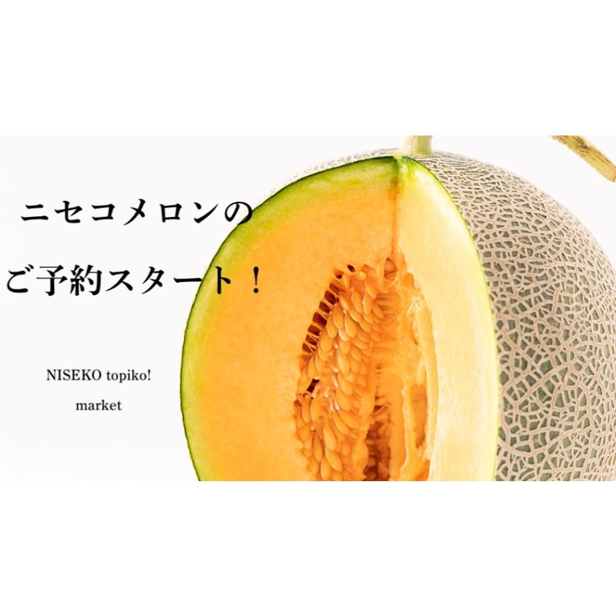 【全国送料込・予約商品】北海道ニセコの「ようていメロン」特大サイズ（秀）　1玉2.0〜2.5Kg ｘ2玉（青玉と赤玉各1）・・・数量限定 |  | 02