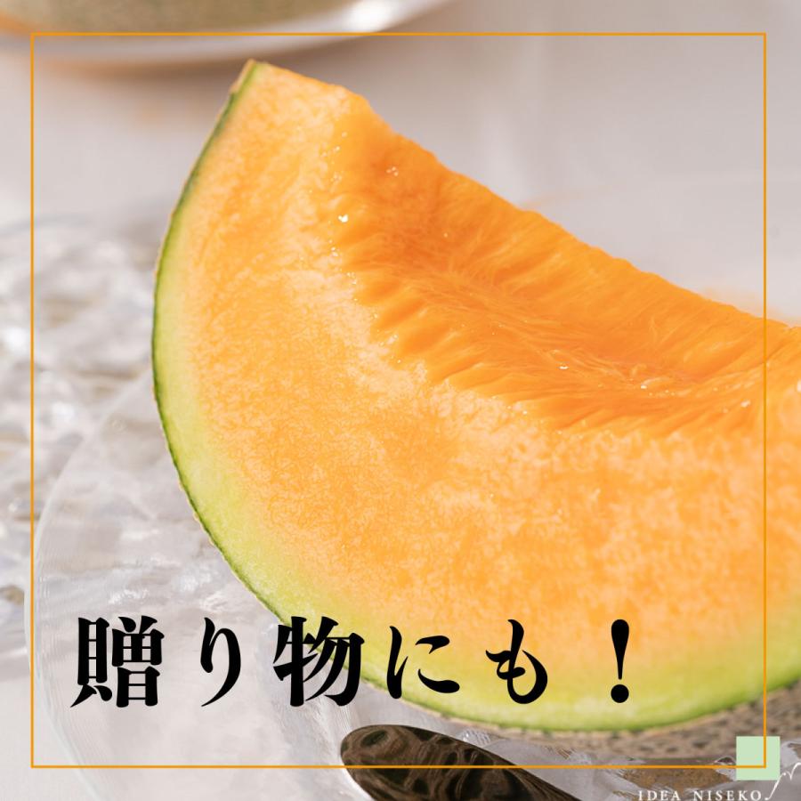 【全国送料込・予約商品】北海道ニセコの「ようていメロン」特大サイズ（秀）　1玉2.0〜2.5Kg ｘ2玉（青玉と赤玉各1）・・・数量限定 |  | 03