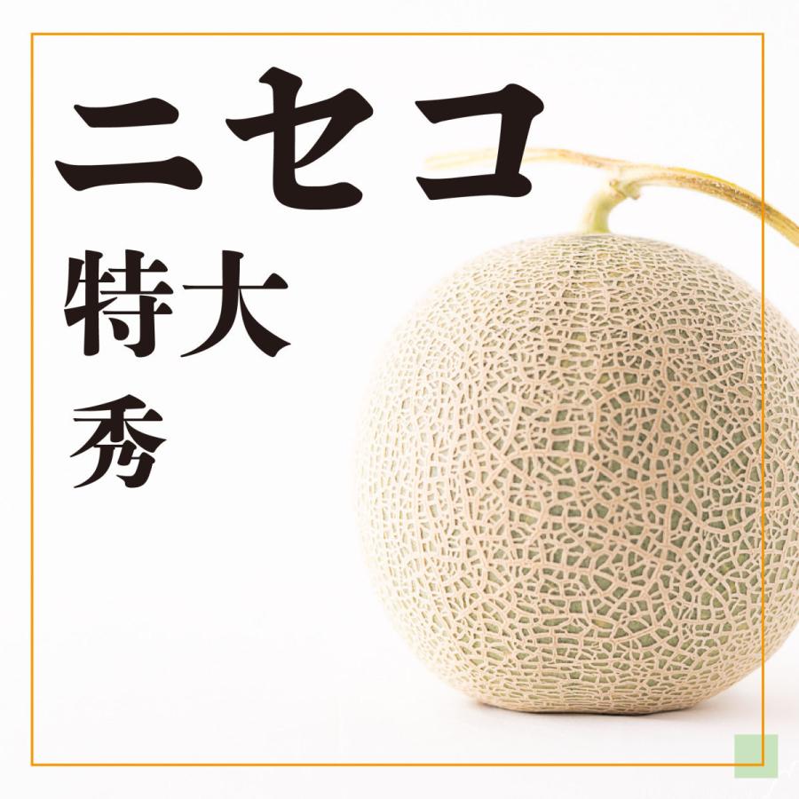 【全国送料込・予約商品】北海道ニセコの「ようていメロン」特大サイズ（秀）　1玉2.0〜2.3Kg ｘ4玉（青玉と赤玉各2）・・・数量限定 | 