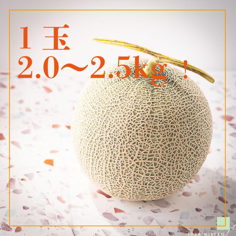 【全国送料込・予約商品】北海道ニセコの「ようていメロン」特大サイズ（秀）　1玉2.0〜2.3Kg ｘ4玉（青玉と赤玉各2）・・・数量限定 |  | 02
