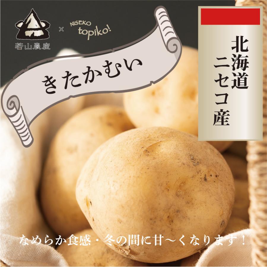 送料込み 北海道ニセコ産 若山農産のきたかむい10kg キタカムイ 北カムイ 北かむい Wyn0001 02 Niseko Topiko Market 通販 Yahoo ショッピング