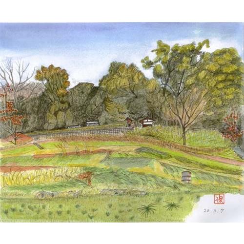 絵画 インテリア 玄関 アート 風景画 万葉集 柿本人麻呂 万葉スケッチ紀行6 真弓の丘 岡宮天皇陵