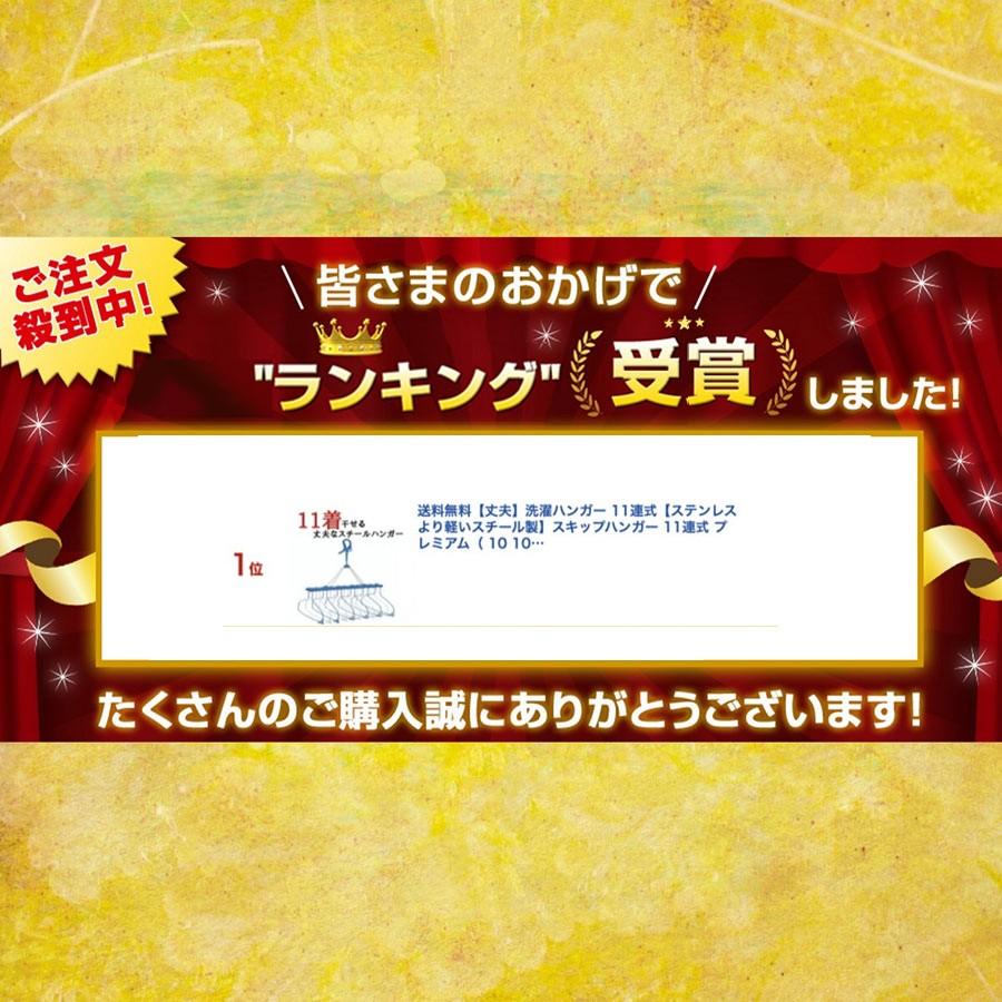 11連式洗濯ハンガー ピンチハンガー 物干しハンガー 2セット   ステンレス より軽い スチール製  リニアハンガー | Nishida | 01