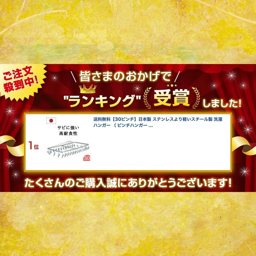 ピンチハンガー 2個セット 30ピンチ  ステンレス より軽い スチール製   室内干し 洗濯用品 丈夫 長持ち 洗濯ばさみ｜nishida｜02