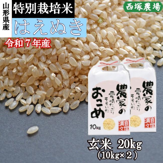 はえぬき 特別栽培米はえぬき岩魚米 （令和7年産）玄米 20kg : 株式 