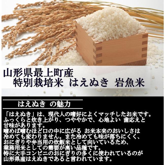 特別栽培米はえぬき岩魚米 （令和3年産）白米 20kg｜nishiduka-farm｜03