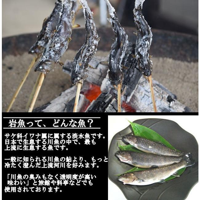 【送料無料】冷凍岩魚 50匹（腹抜き) 　焼き魚・揚げ物に最適な大きさ_2