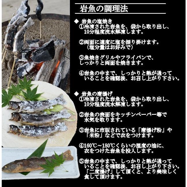 【送料無料】冷凍岩魚 50匹（腹抜き) 　焼き魚・揚げ物に最適な大きさ_4