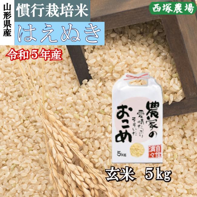 【送料無料】慣行栽培米はえぬき岩魚米 （令和3年産）玄米 5kg｜nishiduka-farm｜01