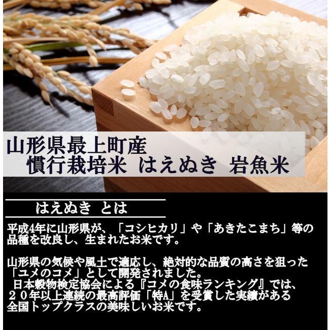 【送料無料】慣行栽培米はえぬき岩魚米 （令和3年産）玄米 5kg｜nishiduka-farm｜02