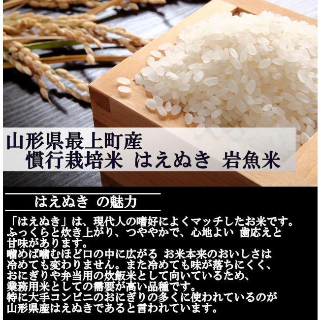 【送料無料】慣行栽培米はえぬき岩魚米 （令和3年産）玄米 5kg｜nishiduka-farm｜03