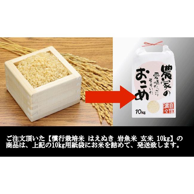 【送料無料】慣行栽培米はえぬき岩魚米 （令和3年産）玄米 10kg｜nishiduka-farm｜08