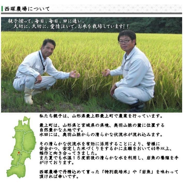 【送料無料】慣行栽培米はえぬき岩魚米 （令和3年産）白米 5kg｜nishiduka-farm｜07