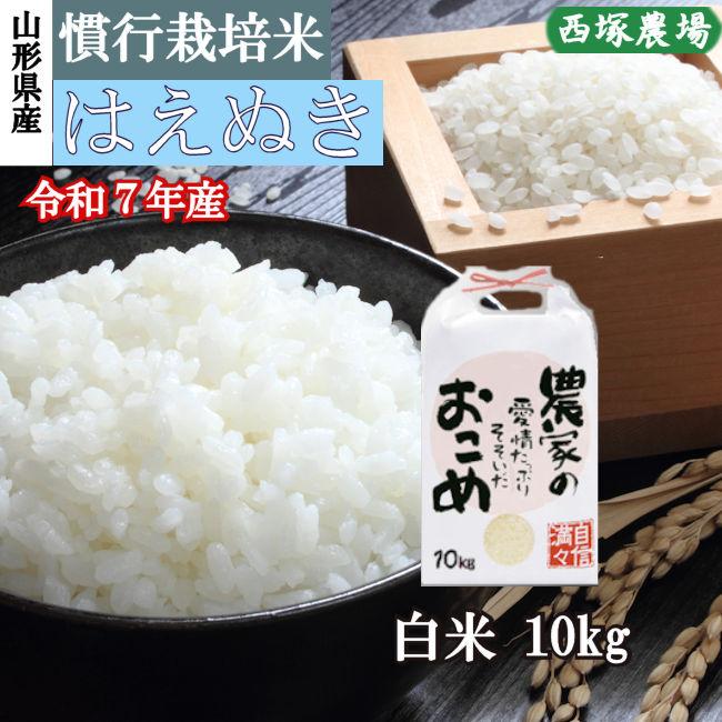 慣行栽培米はえぬき岩魚米 （令和7年産）白米 10kg | はえぬき